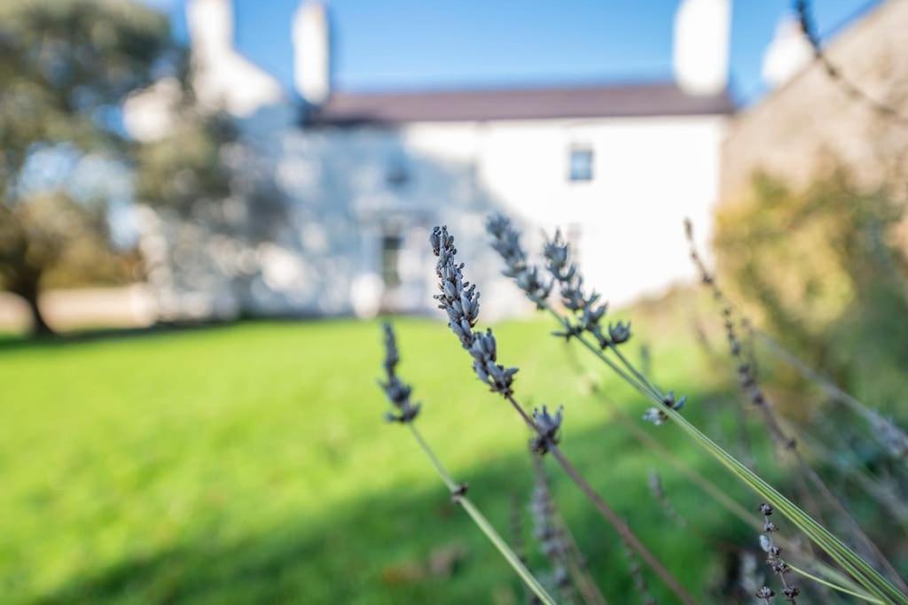 Georgian Country House -Panoramic Views -Sleeps 12 Ruthin Exterior photo